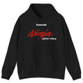Kawasaki Ninja Zx-4R Hoodie
