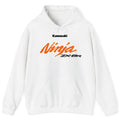 Kawasaki Ninja Zx-6R Hoodie